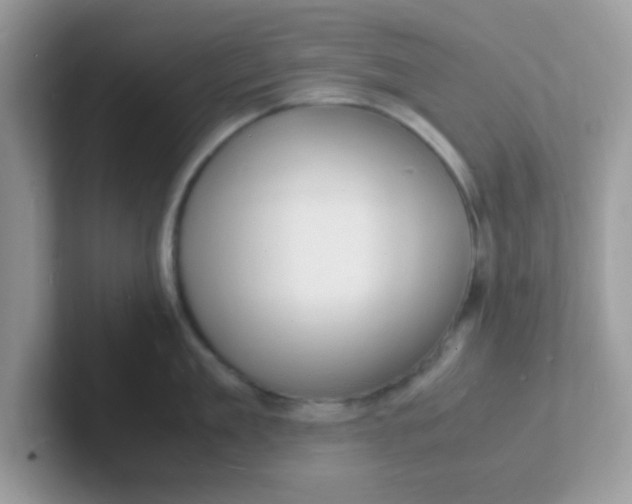 X0000101480909200807281037