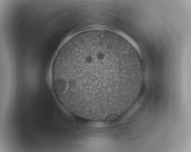 X0000101480911200807281037