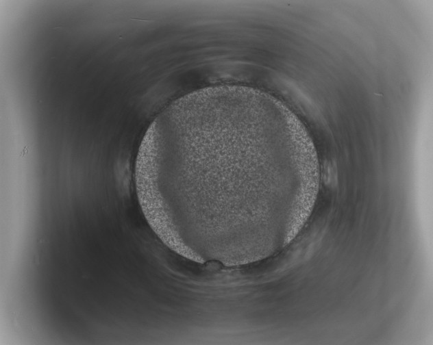 X0000101480915200807281036