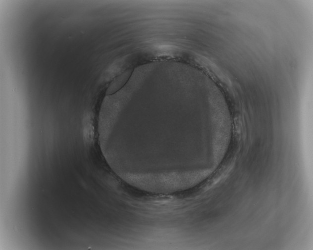 X0000101480916200807281036