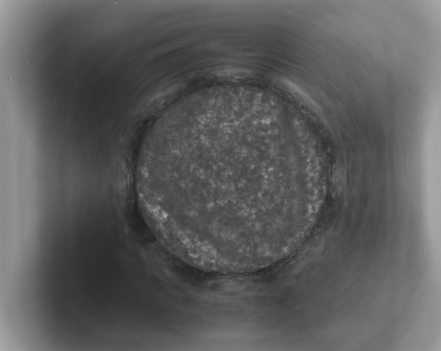 X0000101480917200807281036