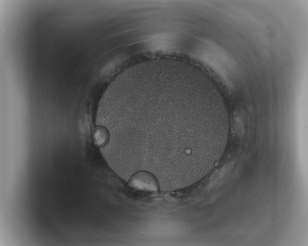 X0000101480918200807281036