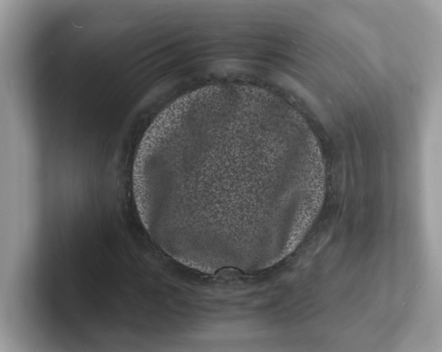 X0000101480919200807281036