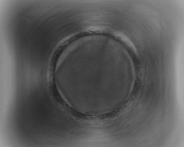 X0000101480920200807281036