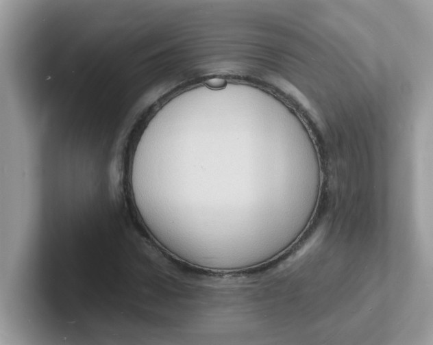 X0000101480922200807281036