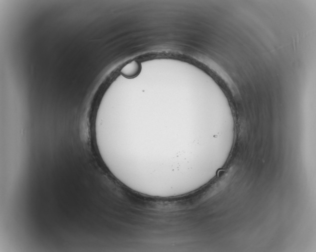 X0000101480927200807281036