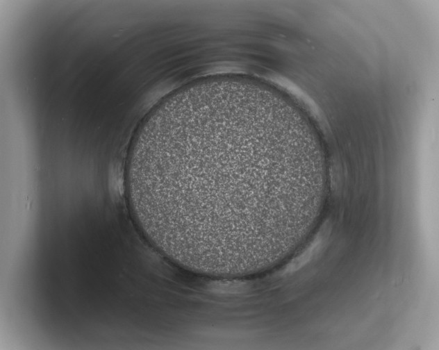 X0000101480929200807281036