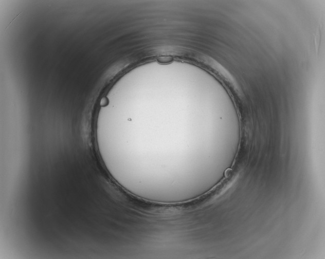 X0000101480930200807281036