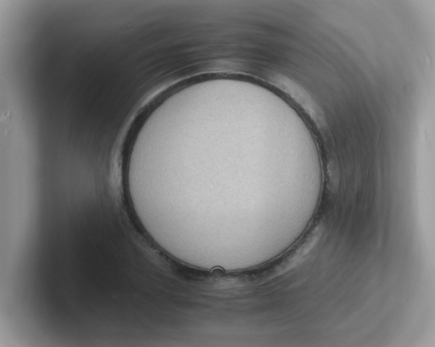 X0000101480931200807281036