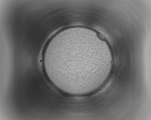 X0000101480933200807281036