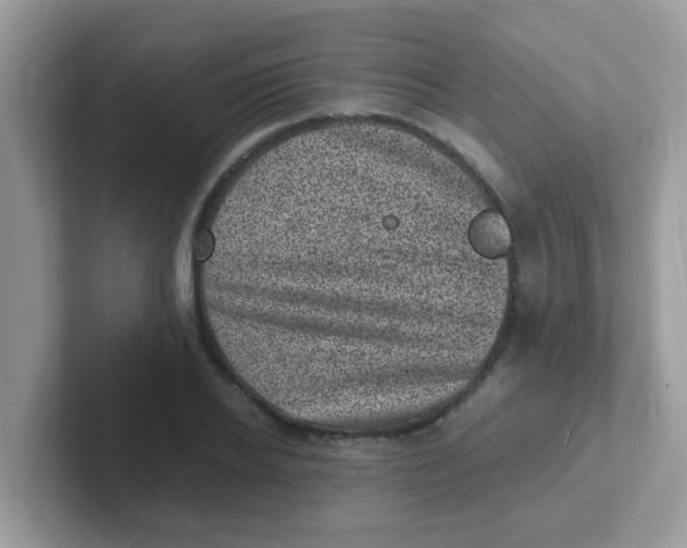 X0000101480934200807281036