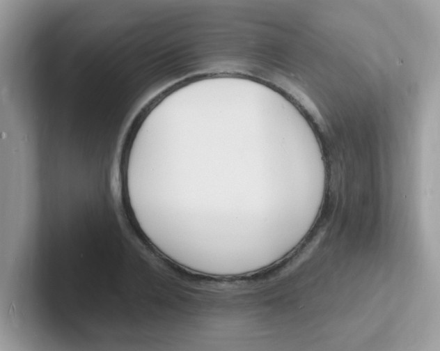 X0000101480936200807281036