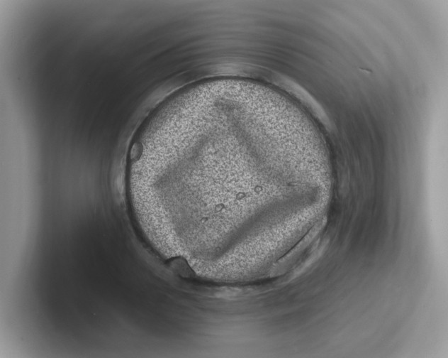 X0000101480938200807281036