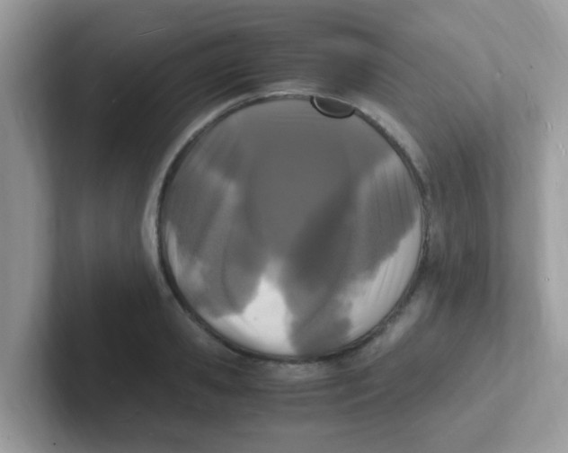 X0000101480941200807281037