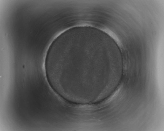 X0000101480943200807281037