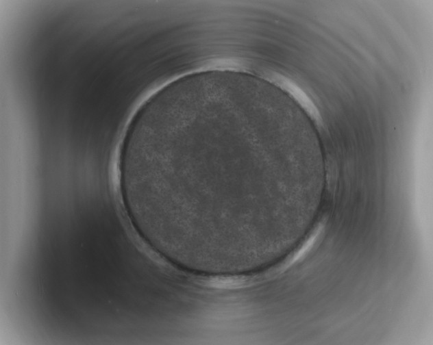 X0000101480944200807281037