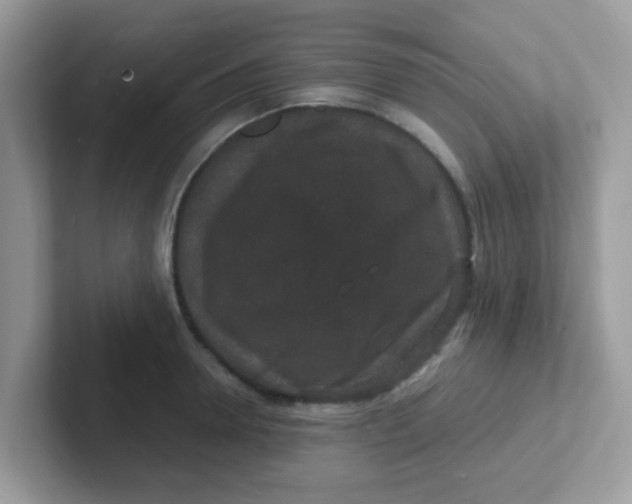 X0000101480946200807281037