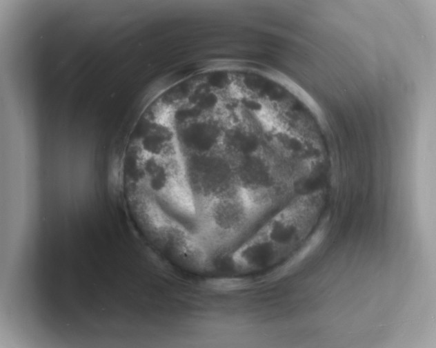 X0000101480953200807281037