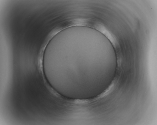 X0000101480954200807281037