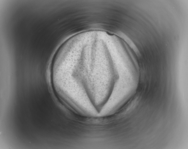 X0000101480955200807281037