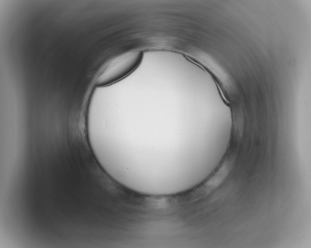 X0000101480956200807281037