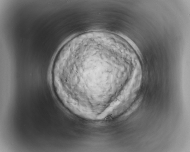 X0000101480957200807281037