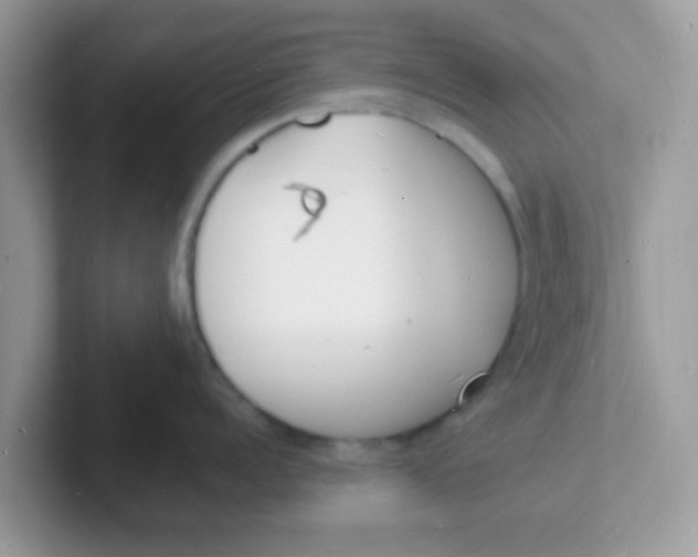 X0000101480960200807281037