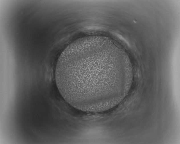 X0000101480965200807281036