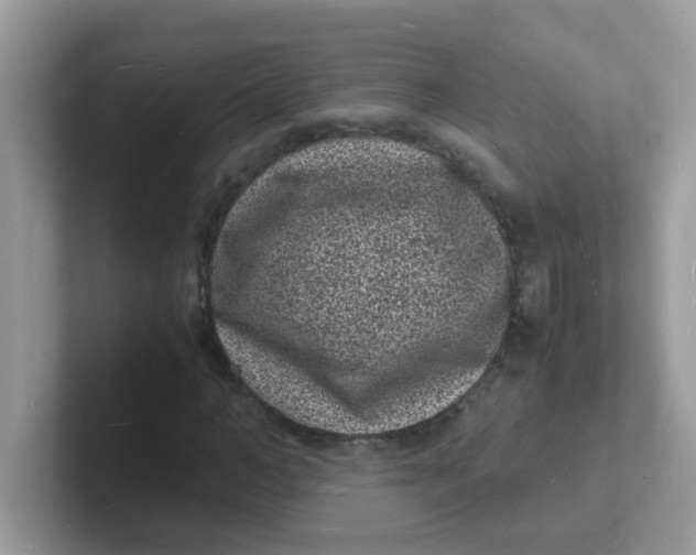 X0000101480966200807281036