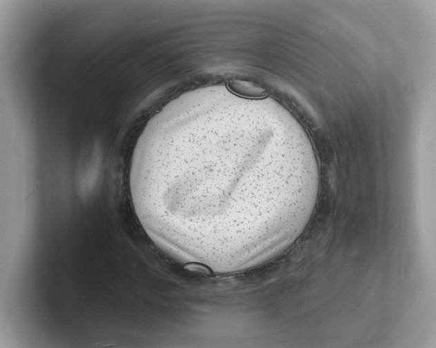 X0000101480968200807281036