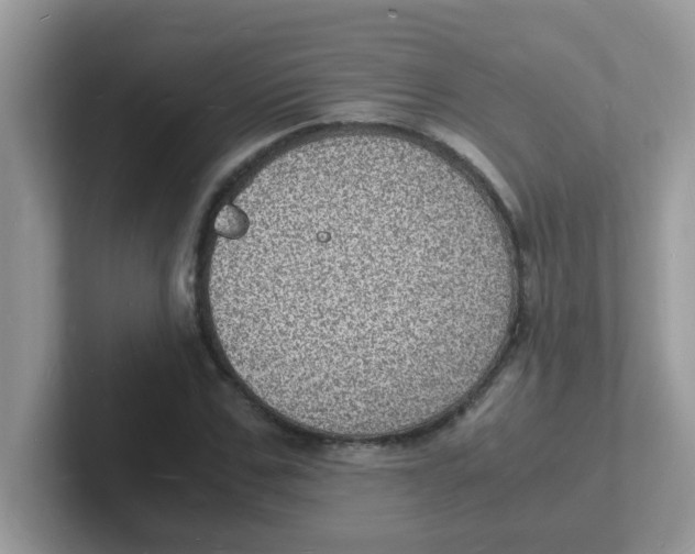 X0000101480971200807281036