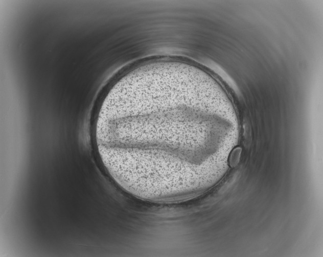 X0000101480972200807281036