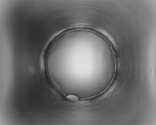 X0000101480973200807281036