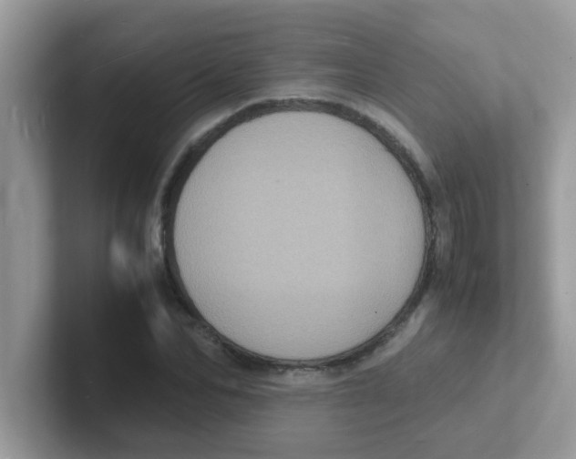 X0000101480974200807281036