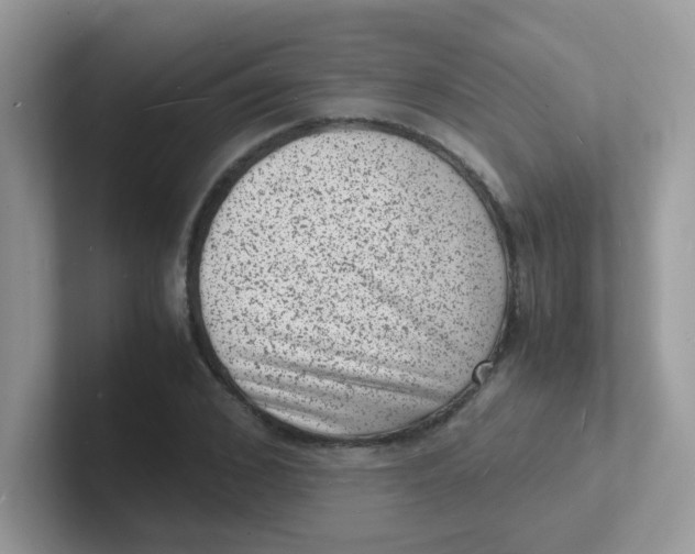 X0000101480976200807281036