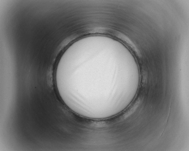 X0000101480978200807281036