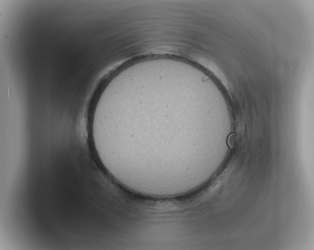 X0000101480979200807281036