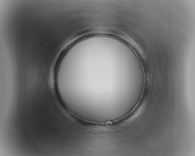 X0000101480981200807281036