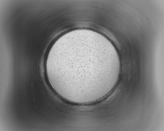 X0000101480984200807281036