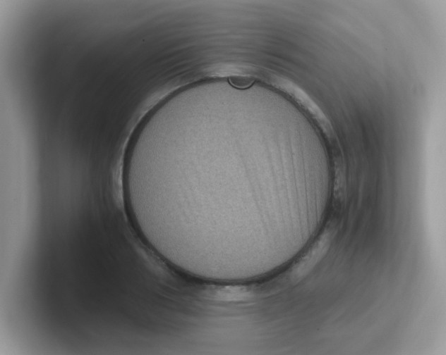 X0000101480986200807281036