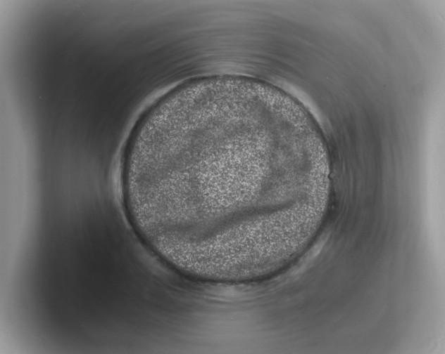 X0000101480987200807281036