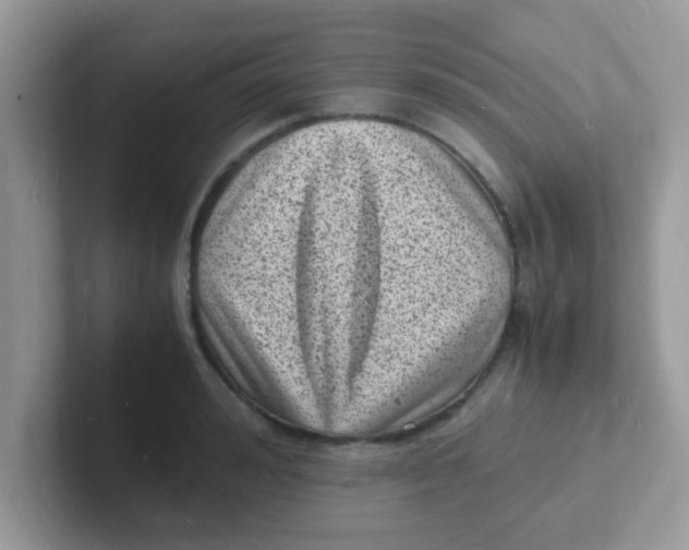 X0000101480992200807281036