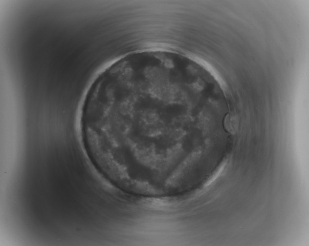 X0000101480995200807281036