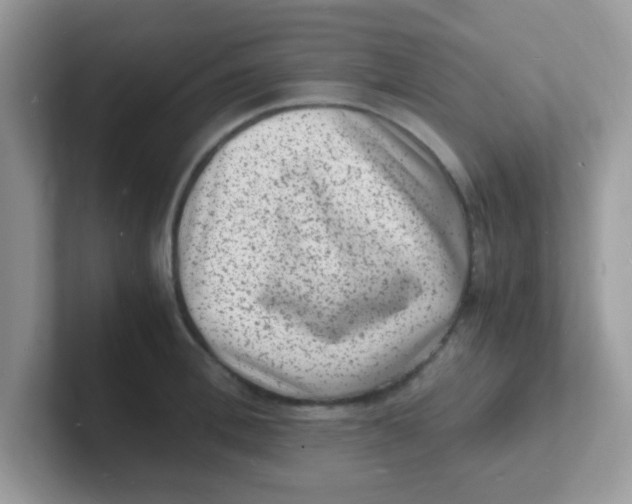 X0000101480996200807281036