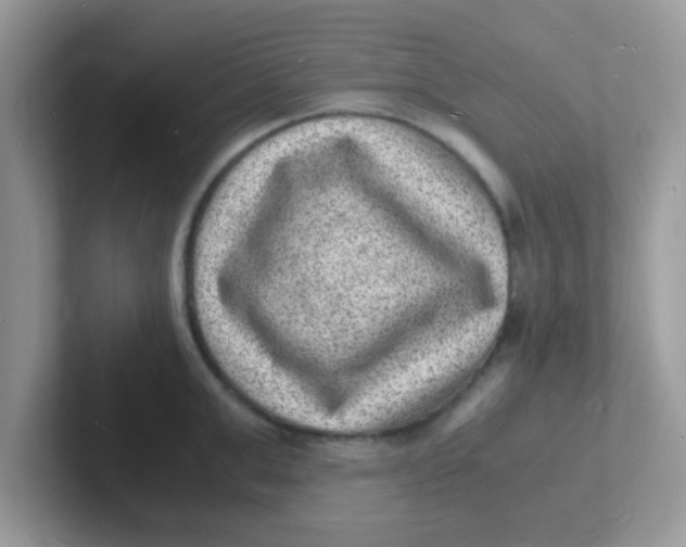 X0000101480999200807281036