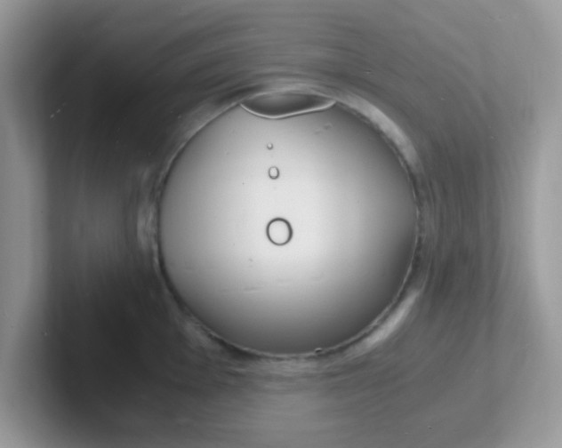 X0000101481001200807281036