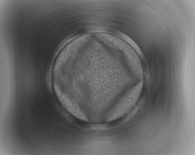 X0000101481002200807281036