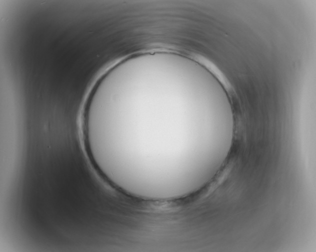 X0000101481003200807281036