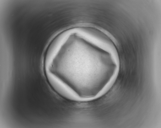 X0000101481006200807281036