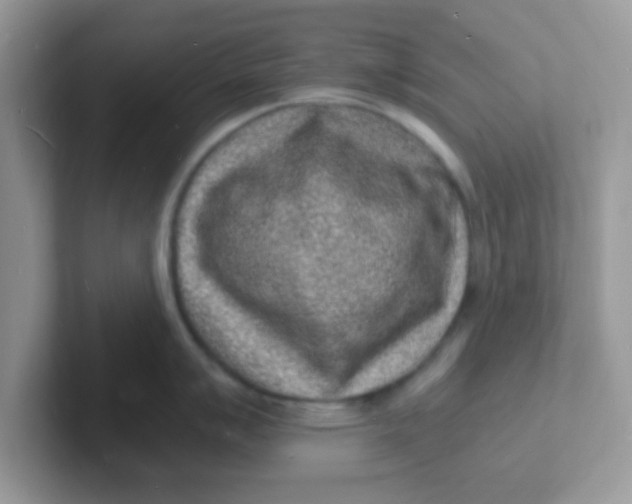 X0000101481007200807281036